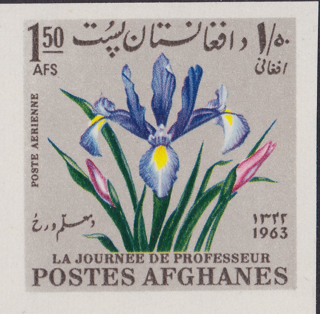 Iris
