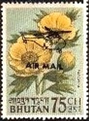 Stamp, Paeonia lutea, Bhutan,  