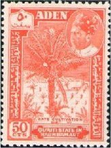 Date cultivation