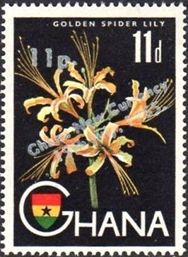 Golden Spider Lily (Lycoris aurea), (surcharged)