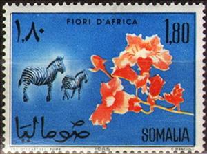 Stamp, Flora and Fauna, Somalia,  , Animals (Fauna), Flowers, Mammals, Plants (Flora), Zebras