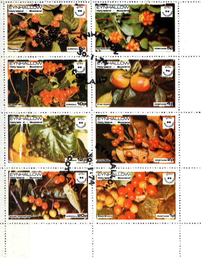 Fruits