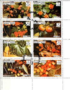 Mini Sheet, Fruits, Cinderellas,  , Fruits