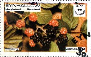 Stamp, Blackberry, Cinderellas,  , Fruits