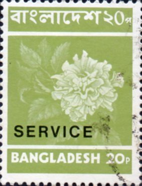 Stamp overprint