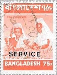Stamp, Tea Picking, Bangladesh,  , Agriculture, Crops, Tea