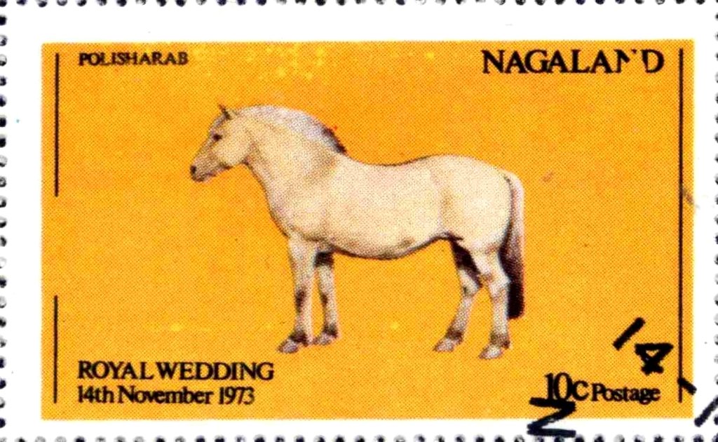 Royal Wedding - horse
