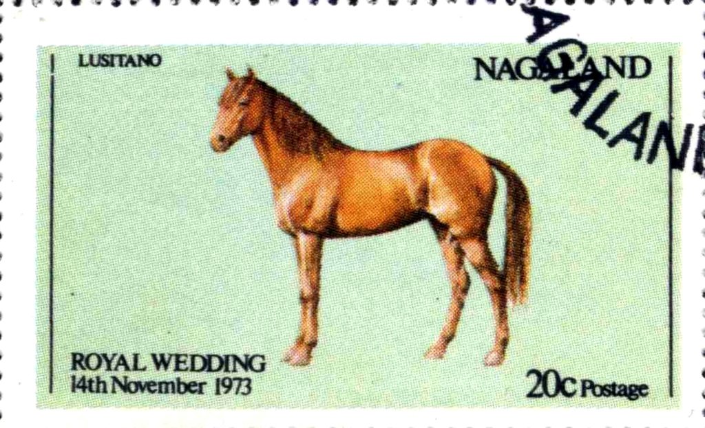 Royal Wedding - horse