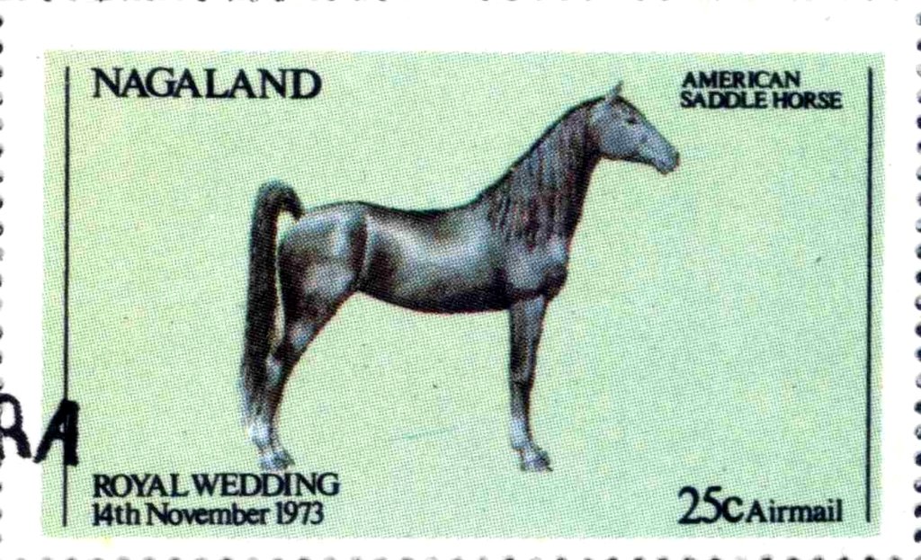 Royal Wedding - horse
