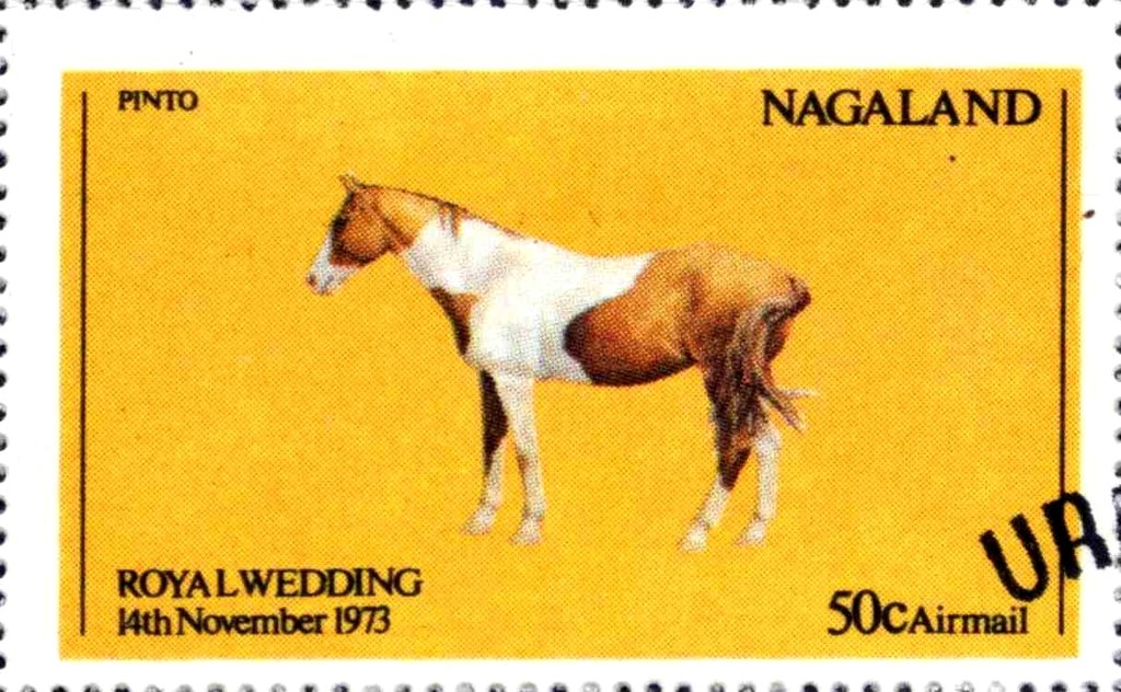 Royal Wedding - horse