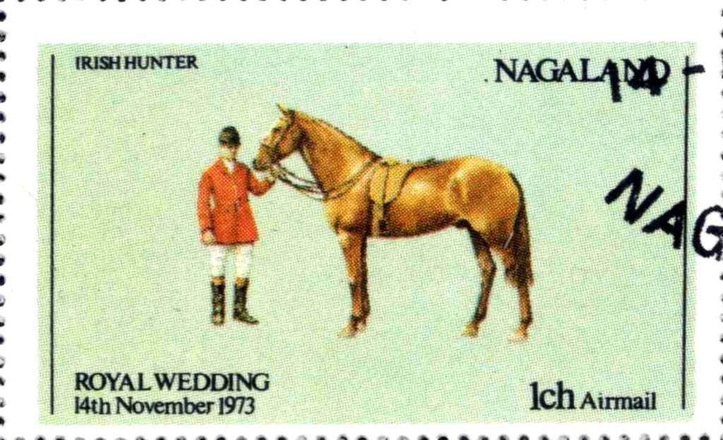 Royal Wedding - horse