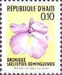 Laeliopsis dominguensis
