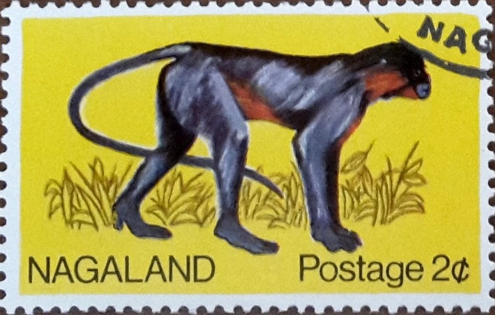Fauna