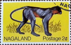 Stamp, Fauna, Cinderellas,  , Monkeys