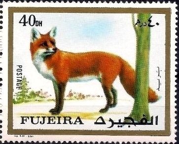 Stamp, Red Fox (Vulpes vulpes), Fujairah (Fujeira),  , Animals (Fauna), Foxes, Mammals