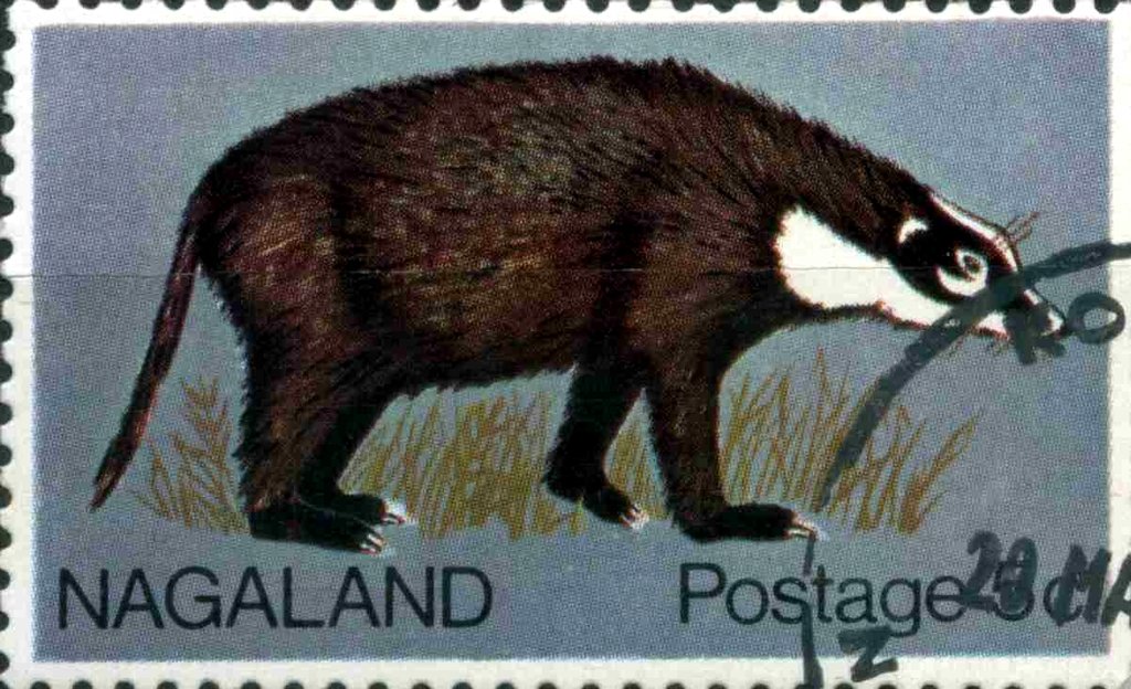 Fauna