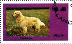 Stamp, Golden Retriever, Cinderellas,  , Dogs