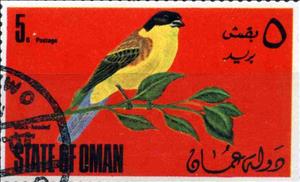 Stamp, Black-headed, Cinderellas,  , Birds