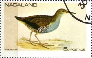 Stamp, Water-rail, Cinderellas,  , Birds