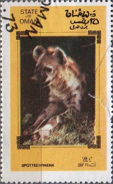 Spotted Hyena