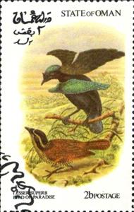 Stamp, Lesser Superb Bird of Paradise, Cinderellas,  , Birds