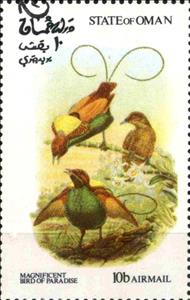 Stamp, Magnificent Bird of Paradise, Cinderellas,  , Animals (Fauna), Birds