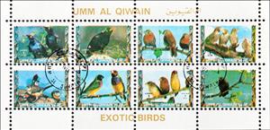 Mini Sheet, Birds - MiNo. 1426-33A - Small Format, Umm al-Qiwain,  , Animals (Fauna), Birds