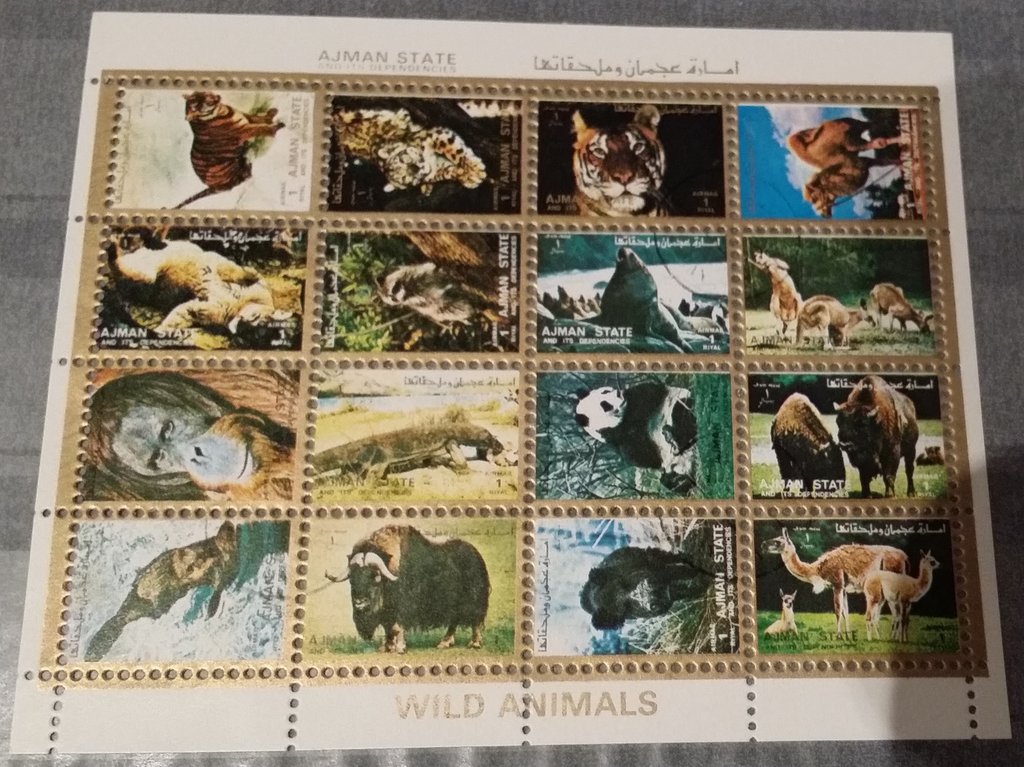 Animals, small format