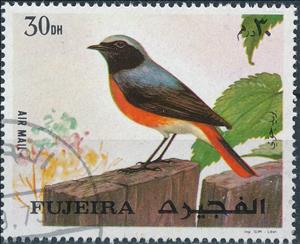 Stamp, Common Redstart (Phoenicurus phoenicurus), Fujairah (Fujeira),  , Animals (Fauna), Birds