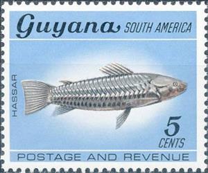 Stamp, Katrina Kwikwi (Callichthys littoralis), Guyana,  
