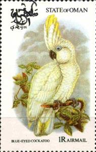 Stamp, Blue-Eyed Cockatoo, Cinderellas,  , Birds