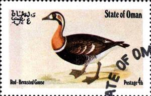 Stamp, Red-Breasted Goose, Cinderellas,  , Birds