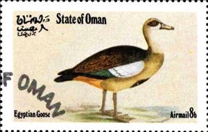 Stamp, Egyptian Goose, Cinderellas,  , Birds