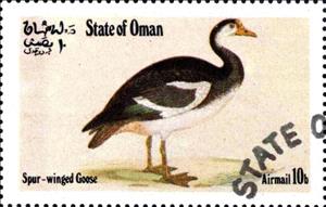 Stamp, Spur-Winged Goose, Cinderellas,  , Birds