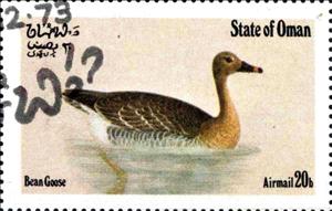 Stamp, Bean Goose, Cinderellas,  , Birds