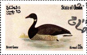 Stamp, Brent Goose, Cinderellas,  , Birds