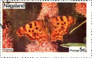 Stamp, Comma, Cinderellas,  , Butterflies