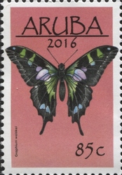 Butterflies 2016 - Graphium weiskei