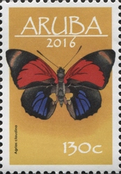 Butterflies 2016 - Agrias claudina