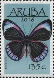 Butterflies 2016 - Eunica eurota