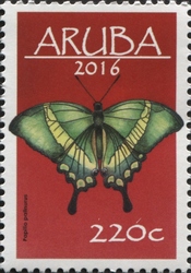 Butterflies 2016 - Papilio palinurus