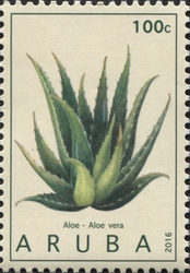 Medicinal plants 2016 - Aloe vera