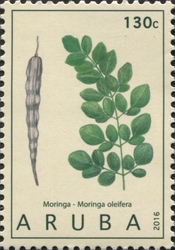 Medicinal plants 2016 - Moringa oleifera