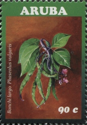 Vegetables 2016 - Phaseolus vulgaris