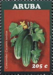 Vegetables 2016 - Cucumis sativus