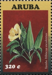 Vegetables 2016 - Hibiscus esculentus