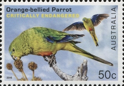 Stamp Collecting Month - Endangered Wildlife - Orange-bellied Parrot (Neophema chrysogaster)
