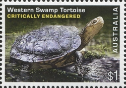 Stamp Collecting Month - Endangered Wildlife - Western Swamp Tortoise (Pseudemydura umbrina)