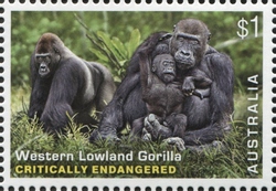 Stamp Collecting Month - Endangered Wildlife - Western Lowland Gorilla (Gorilla gorilla gorilla)