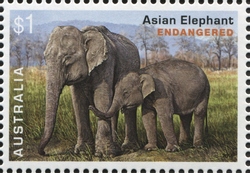Stamp Collecting Month - Endangered Wildlife - Asian Elephant (Elephas maximus)